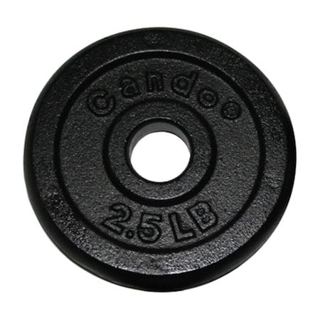 Fabrication Enterprises Iron Disc Weight Plate, 2.5 Lbs. FA124350